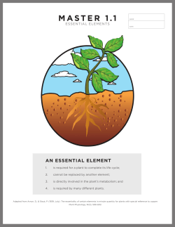 AN ESSENTIAL ELEmENT