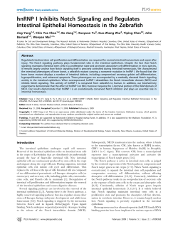 hnRNP I Inhibits Notch Signaling and Regulates