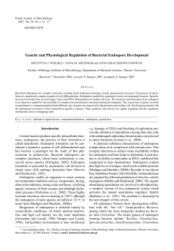 Genetic and Physiological Regulation of Bacterial Endospore