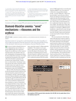 Diamond-Blackfan anemia: &ldquo;novel&rdquo; mechanisms&mdash;ribosomes and