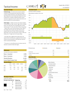 Tactical Income - Camelot Portfolios