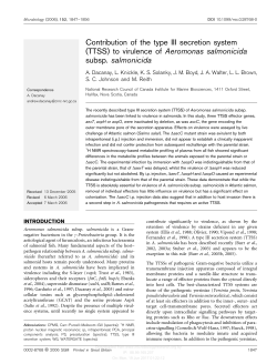 Contribution of the type III secretion system (TTSS) to