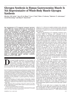 Glycogen Synthesis in Human Gastrocnemius Muscle Is