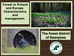 Nawojowa - YPEF Young People in European Forests