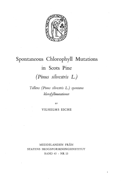 Spontaneous Chlorophyll Mutations in Scots Pine (Pinus silvestris L.)