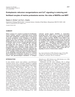 Endoplasmic reticulum reorganizations and Ca2+