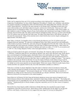 About Fish - The Humane Society of the United States