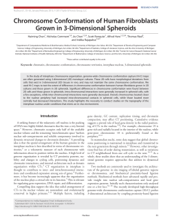 Chromosome Conformation of Human Fibroblasts Grown in 3