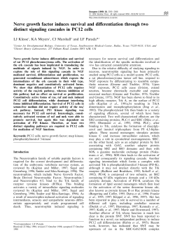Nerve growth factor induces survival and di erentiation