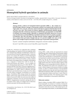 Homoploid hybrid speciation in animals