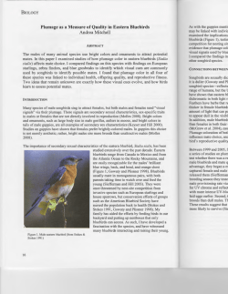 Plumage as a Measure of Quality in Eastern Bluebirds Andrea Mitchell
