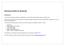 Ethnicity profiles for Somerset