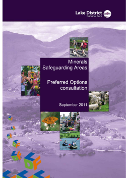 Safeguarding Mineral Resources â€“ Preferred Option Report