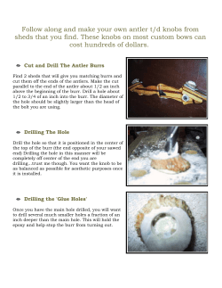 Antler Take Down Knobs