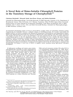 A Novel Role of Water-Soluble Chlorophyll
