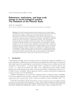 Robustness, institutions, and large
