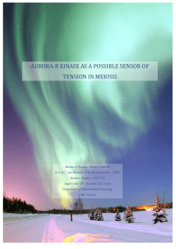 Setup Aurora B in meiosis - Utrecht University Repository
