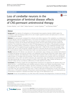 Loss of cerebellar neurons in the progression of lentiviral disease