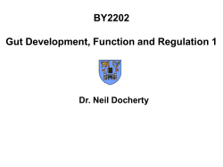 BY2202 Gut Development, Function and Regulation 1 N Docherty