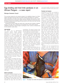 Egg binding and hind limb paralysis in an