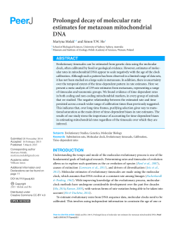Prolonged decay of molecular rate estimates for metazoan