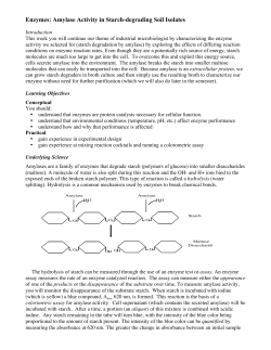 Enzymes: Amylase Activity in Starch