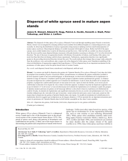 Dispersal of white spruce seed in mature aspen stands