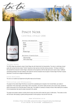 2008 - Toi Toi Wines