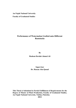 Performance of Watermelon Grafted onto Different Rootstocks
