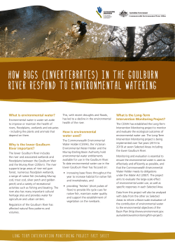 How bugs (invertebrates)