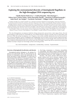 Exploring the environmental diversity of kinetoplastid flagellates in
