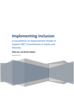 Implementing Inclusion: A Consultation on Organizational Change