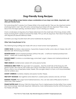 Dog-Friendly Kong Recipes