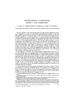 ANTIGEN-SPECIFIC, H-2-RESTRICTED HELPER T CELL