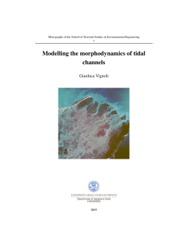 Modelling the morphodynamics of tidal channels