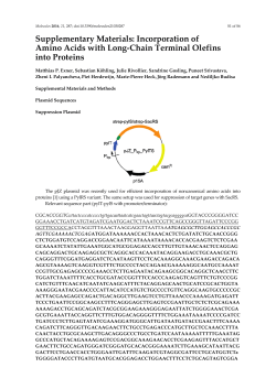 Supplementary Materials: Incorporation of Amino Acids with Long