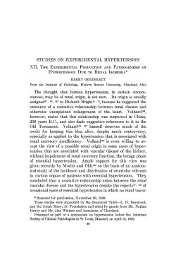 Studies on Experimental Hypertension: XII. The Experimental