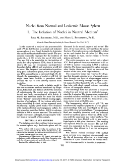 Nuclei from Normal and Leukemic Mouse