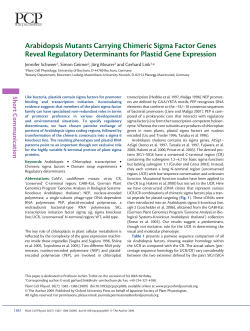 Arabidopsis Mutants Carrying Chimeric Sigma Factor Genes Reveal