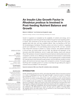An Insulin-Like Growth Factor in Rhodnius prolixus Is Involved in