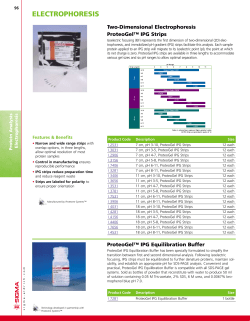electrophoresis - Sigma
