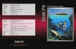 Underwater Flashes and Lights