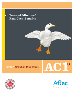 aflac group accident plan
