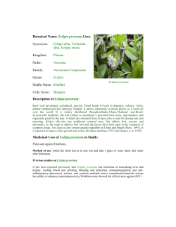 Botanical Name: Eclipta prostrata Linn. Synonyms