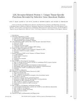 LDL Receptor-Related Protein 1