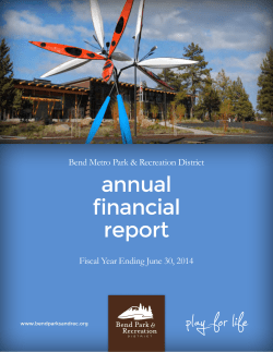 BMPRD Audited Financial Statement FY 2012-2013