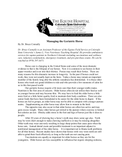 Managing the Geriatric Horse