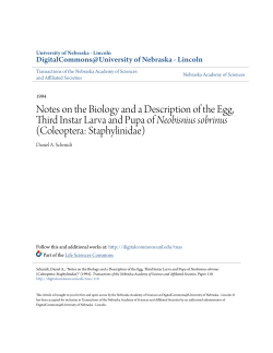 Notes on the Biology and a Description of the Egg, Third Instar Larva