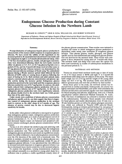 Endogenous Glucose Production during Constant Glucose