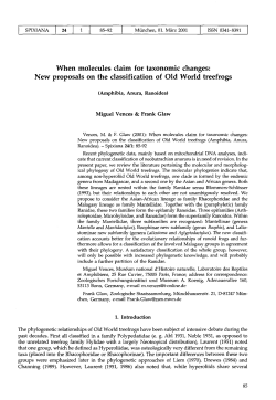 New proposals on the classification of Old World treefrogs